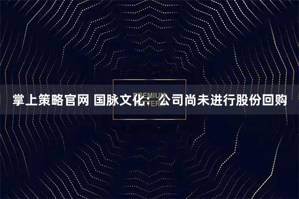 掌上策略官网 国脉文化：公司尚未进行股份回购